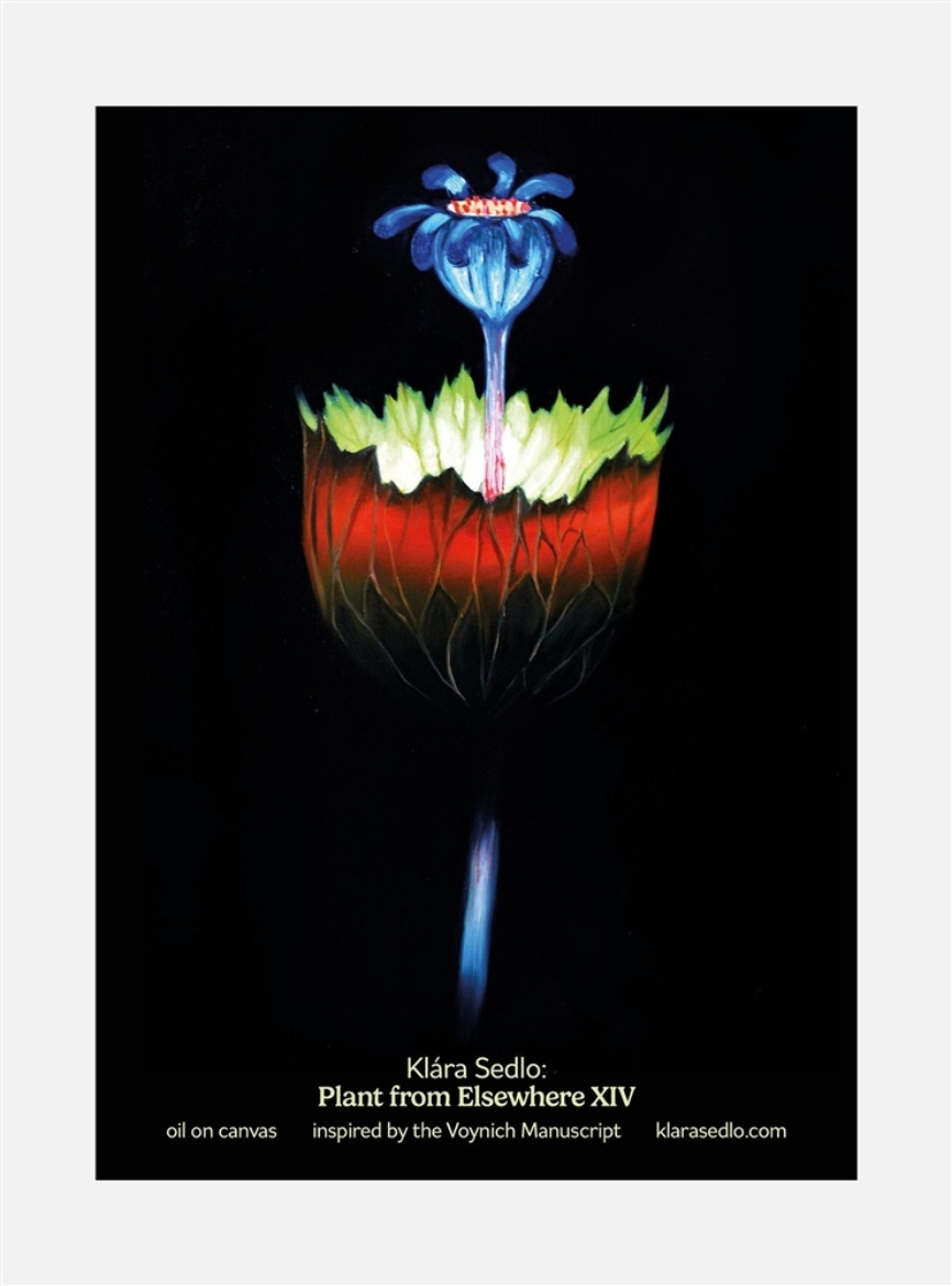 Picture of Plant From Elsewhere XIV - postcard