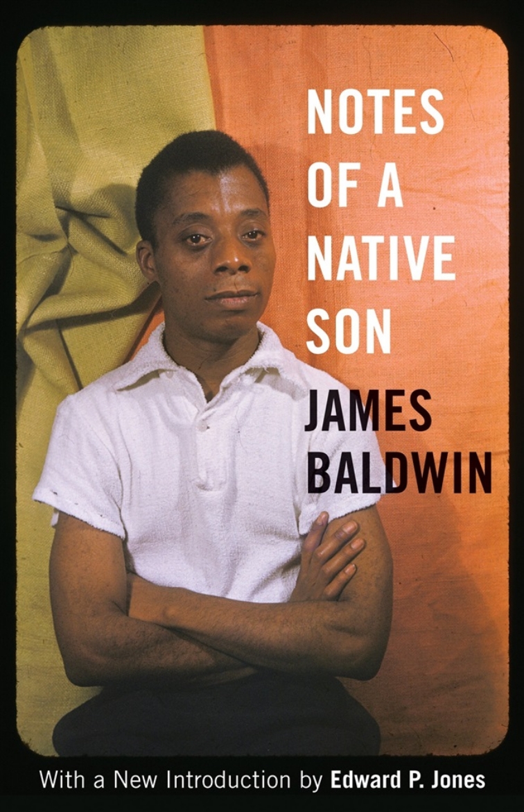 Picture of Notes of a native son