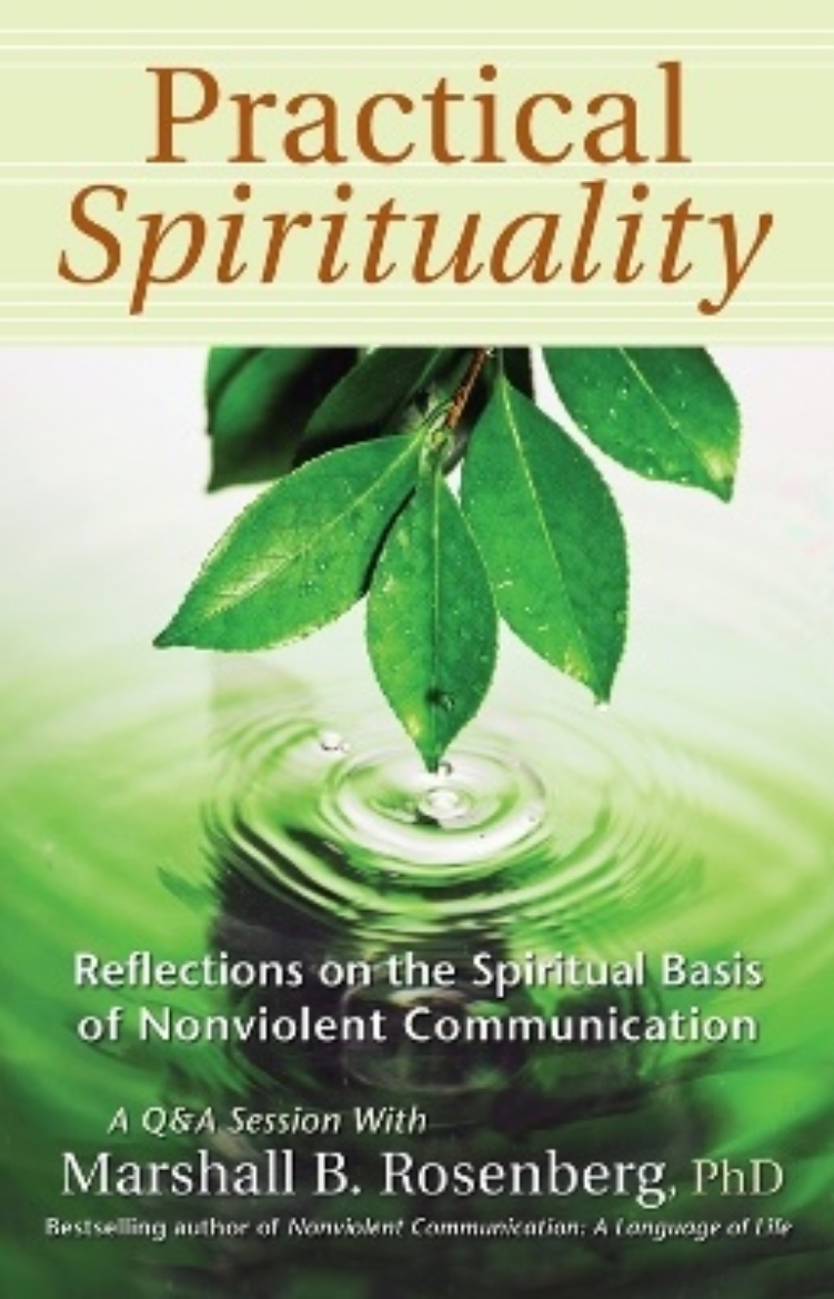 Picture of Practical spirituality