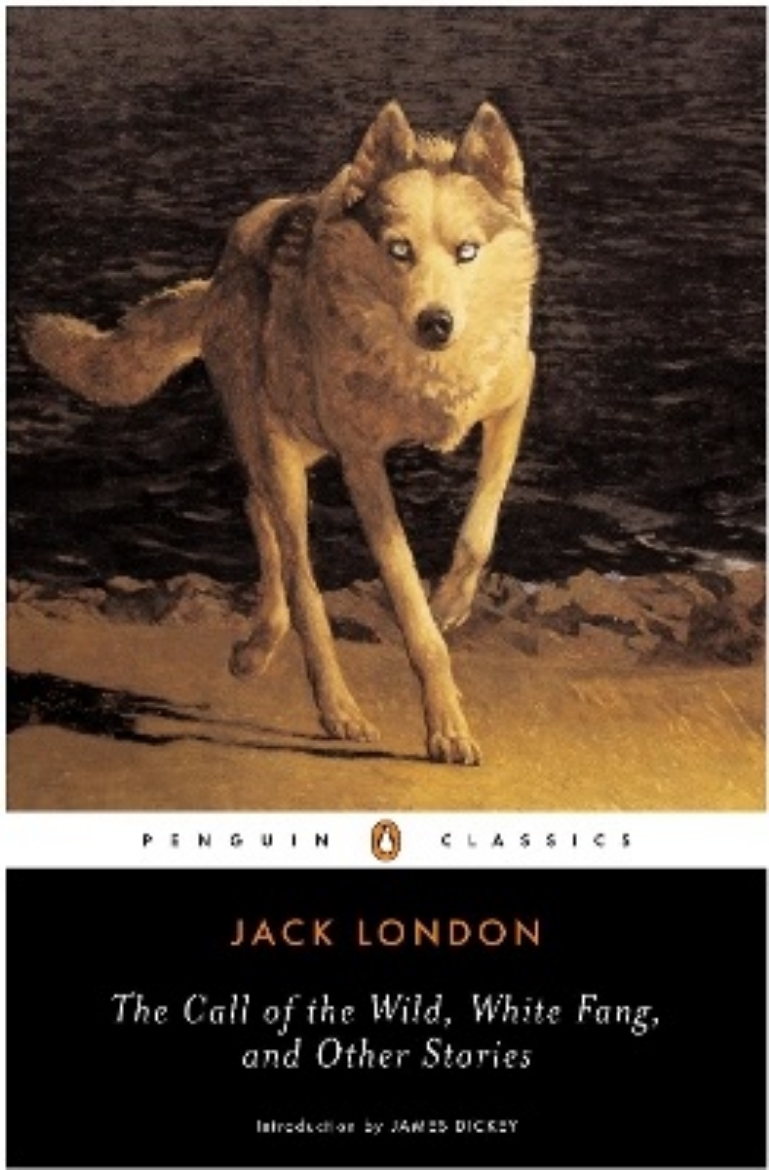Picture of Call of the wild, white fang and other stories