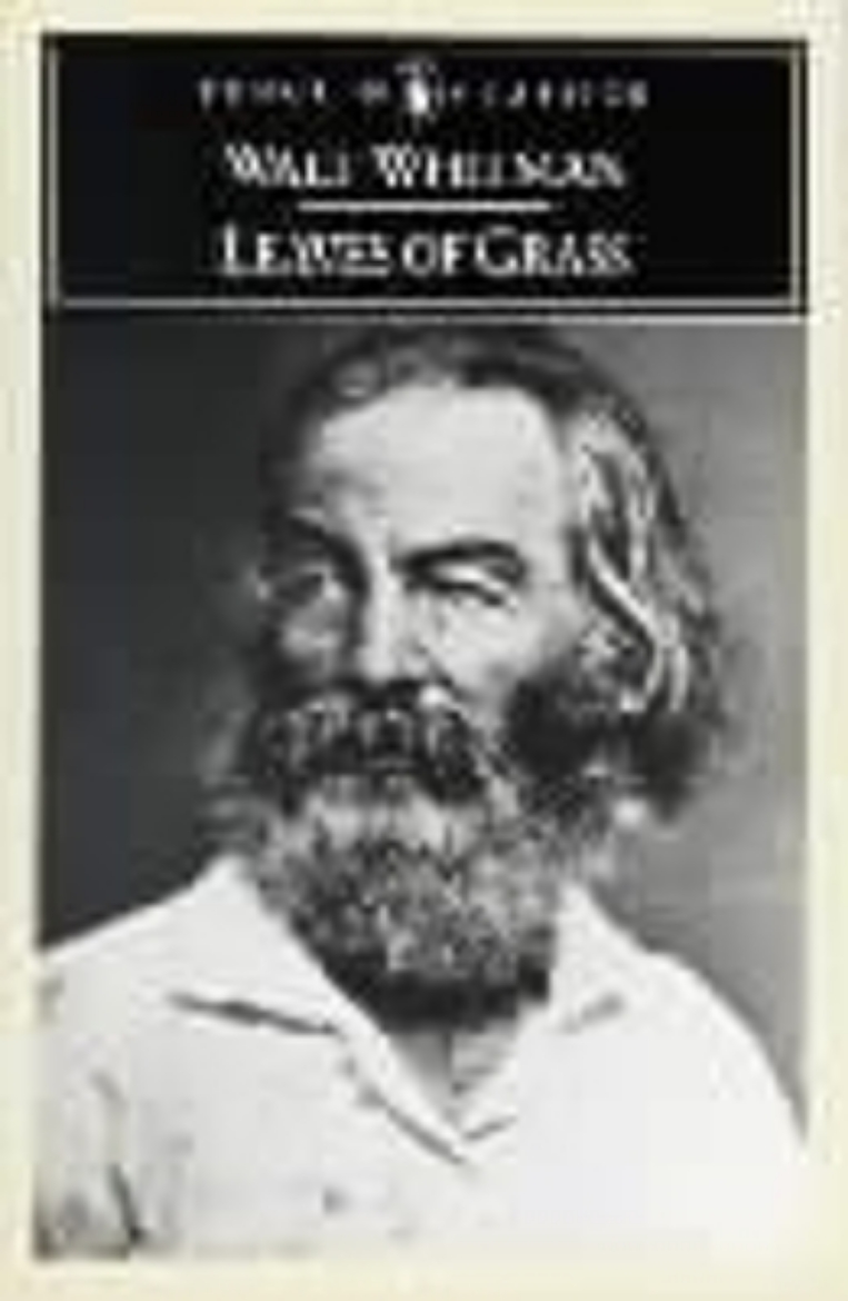 Picture of Leaves of grass