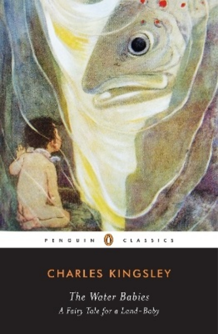Picture of Water babies - a fairy tale for a land-baby