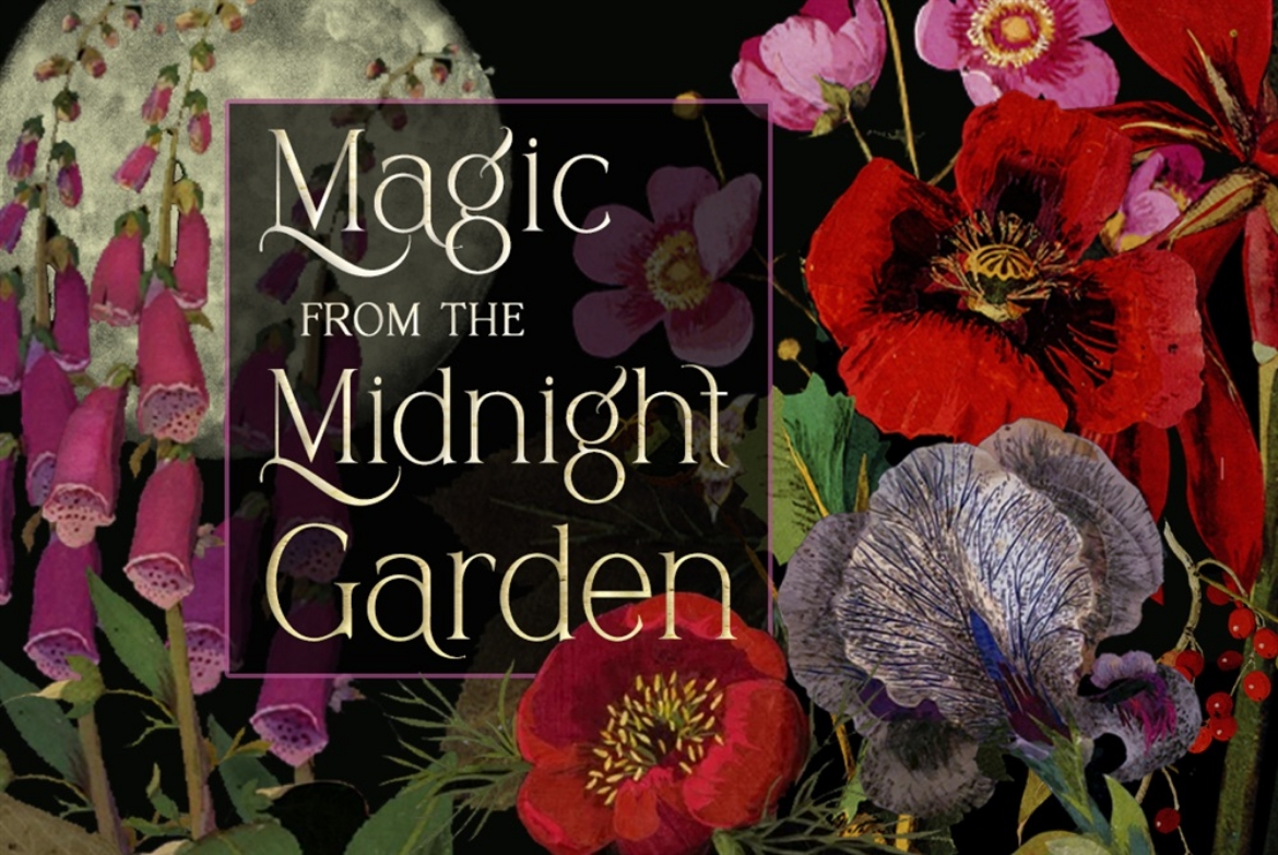Picture of Magic from the Midnight Garden: Dark Beauty, Mystery, and Wisdom (36 Full-Color, Gilt-Edged Cards)