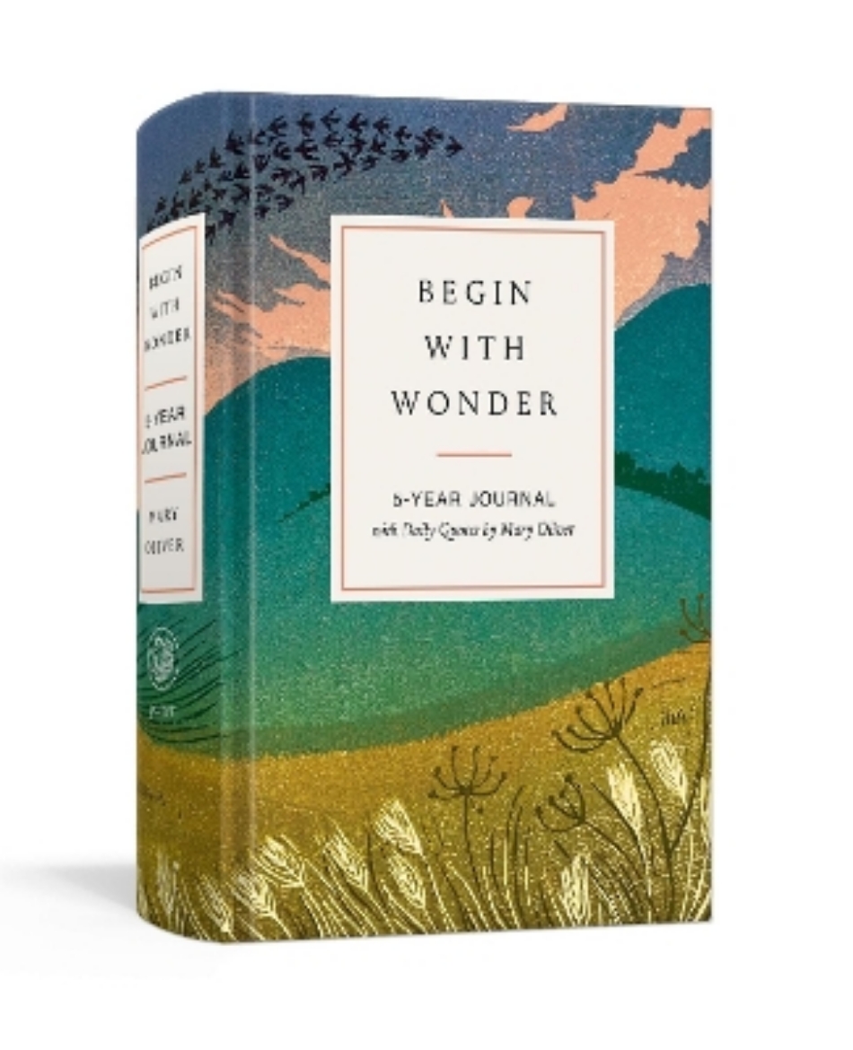 Picture of Begin with Wonder