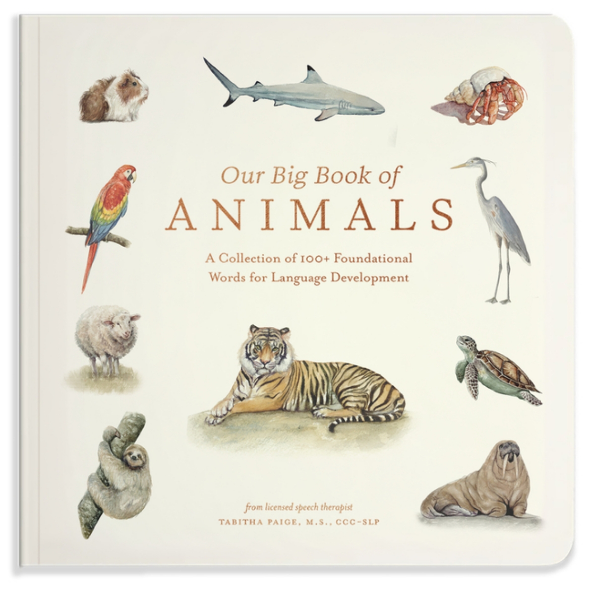 Picture of Our Big Book of Animals